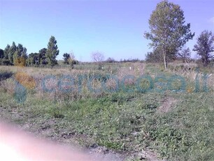 Terreno agricolo in vendita a Tarquinia