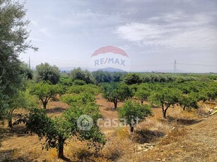 Terreno agricolo in Vendita in Strada Provinciale 77 a Belpasso