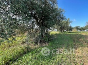 Terreno agricolo in Vendita in partinico a Partinico