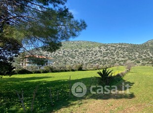 Terreno agricolo in Vendita in Via Salvatore Quasimodo a Torretta