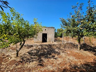 Terreno Edificabile a Carovigno