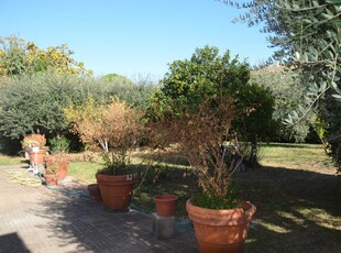 Villa con giardino, San Giuliano Terme pontasserchio