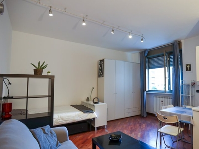 Tranquillo monolocale in affitto a Calvairate, Milano