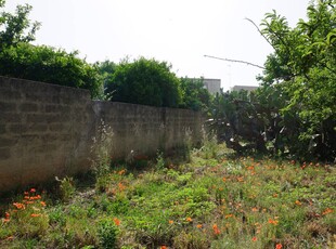 Casa indipendente in vendita Trapani