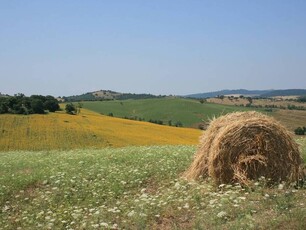 Elegante Tenuta con Piscina in Vendita a Campagnatico, Toscana