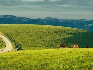 Proprietà di Lusso in Vendita a Panicale, Umbria: Villa Padronale con Piscina e Azienda Agraria