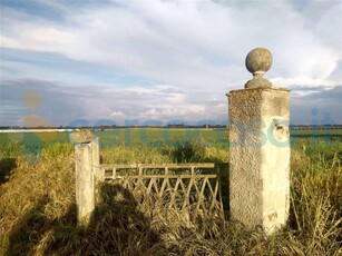 Terreno agricolo in vendita a Brindisi