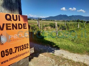 Terreno agricolo in vendita a Cascina