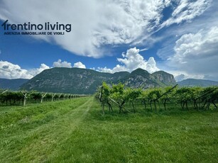 Terreno agricolo in vendita a San Michele All'Adige