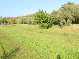 terreno agricolo in vendita a Volpago del Montello