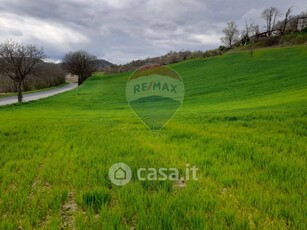 Terreno agricolo in Vendita in Via Varano 197 a Medesano