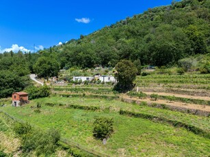 Terreno edificabile in vendita a Vallebona