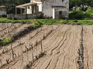 Villa in vendita a Carloforte