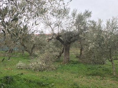Terreno edificabile in vendita a Canosa Di Puglia
