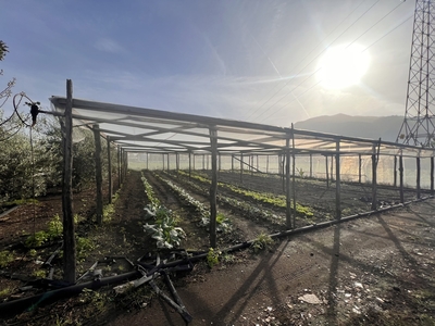 Terreno Agricolo in vendita a Sant'Antonio Abate