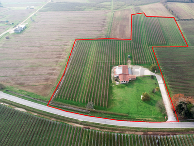 Azienda agricola Mortegliano Udine