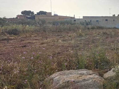 Terreno Agricolo Petrosino Trapani