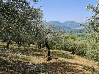 Terreno agricolo in vendita a Sant'Agata De' Goti