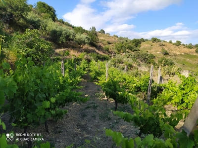 terreno commerciale in vendita a Motta Camastra