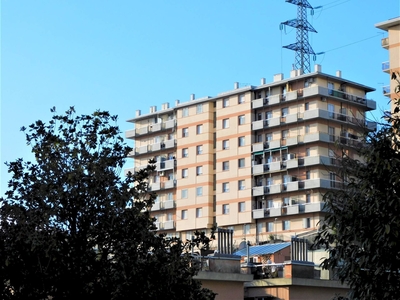 Vendita Appartamento Via Pomposa, Genova