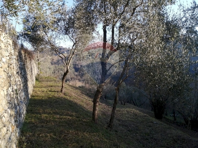 Vendita Terreno residenziale camposasco
Camposasco, San Colombano Certenoli, San Colombano Certenoli