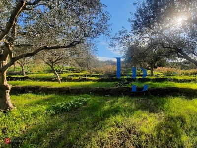 Terreno agricolo in Vendita in Strada Comunale Torre Amalfitano a Bagheria