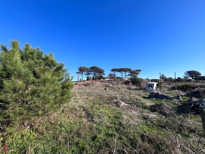 Terreno agricolo in Vendita in Via di Trigoria a Roma