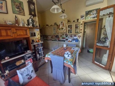 Appartamenti Castelfiorentino cucina: Abitabile,