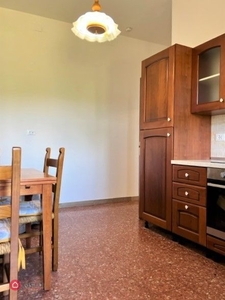 Appartamento in Affitto in Via del Serraglio a Pietrasanta