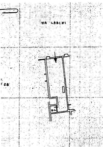 Hobby/Tempo Libero in in vendita da privato a Bitonto via Enrico Labini, 30