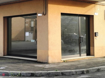 Negozio/Locale commerciale in Affitto in Via Jacopo Filiasi a Padova
