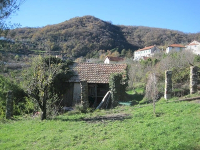 RUSTICO CON TERRENO EDIFICABILE MOLASSANA PINO SOPRANO