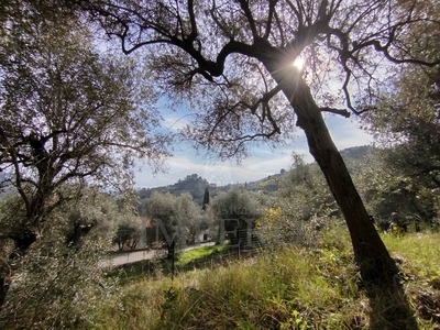 Terreno Agricolo in vendita in via delle otto case, Ventimiglia