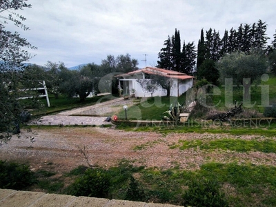 Terreno in Località Pelagone, Gavorrano (GR)