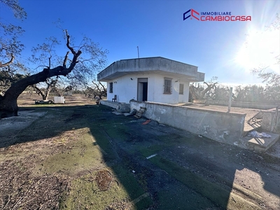 Villa con giardino in ?????? ?????????????????????? ??????????????????, San Marzano di San Giuseppe