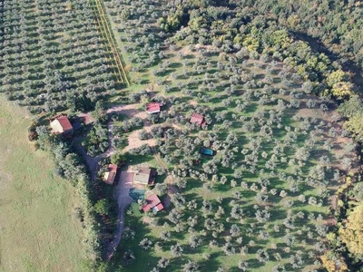 Farmhouse for Sale in Roccastrada