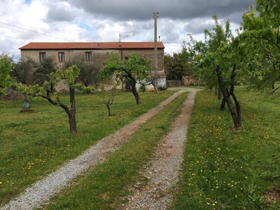 In Vendita: Casale Indipendente con Terreno e Piante d'Oliveto a Scarlino, Toscana