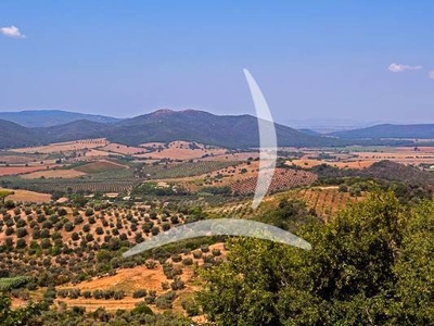 Terreno Edificabile in Vendita in provincia di Firenze: Opportunità Turistica in Toscana