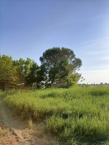 SANTERNO - Casa singola in costruzione più terreno di 3000m