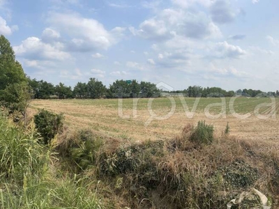 Terreno Agricolo in vendita a Borgo Virgilio cerese