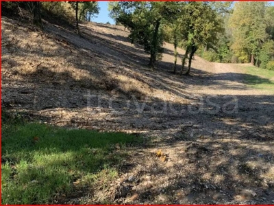 Terreno Agricolo in vendita a Cagli via Flaminia Nord