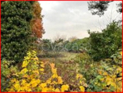 Terreno Agricolo in vendita a Cairate via Brescia