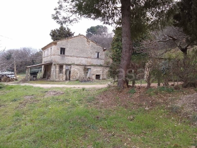 Terreno Agricolo in vendita a Campofilone contrada Marina, 15