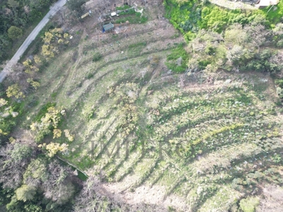 Terreno Agricolo in vendita a Camporosso regione Magauda, 36