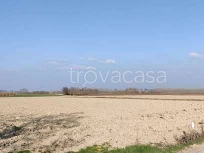 Terreno Agricolo in vendita a Castelnuovo Scrivia strada Ceroggia