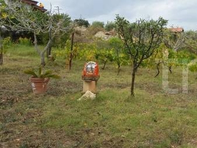 Terreno Agricolo in vendita a Civitavecchia via Guastatori del Genio