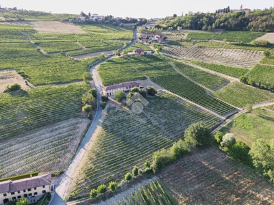 Terreno Agricolo in vendita a Costigliole d'Asti via lemmeniti, 1