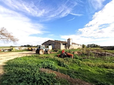 Terreno Agricolo in vendita a Formello via Di Perazzeta, 2555