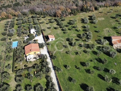 Terreno Agricolo in vendita a Gallicano nel Lazio via Colle Fattore, 61