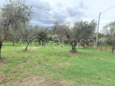 Terreno Agricolo in vendita a Gallicano nel Lazio via Grotte dell'Acqua